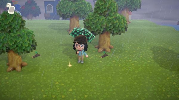 Money Tree in Animal Crossing New Horizons