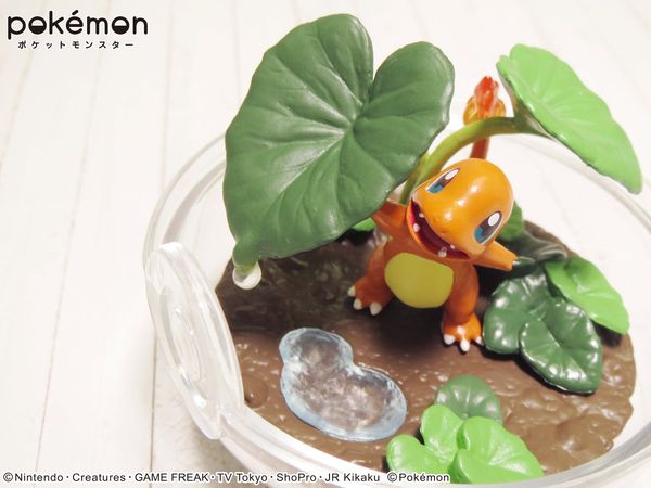 mua bán Pokemon Terrarium Collection 3 ở Việt Nam