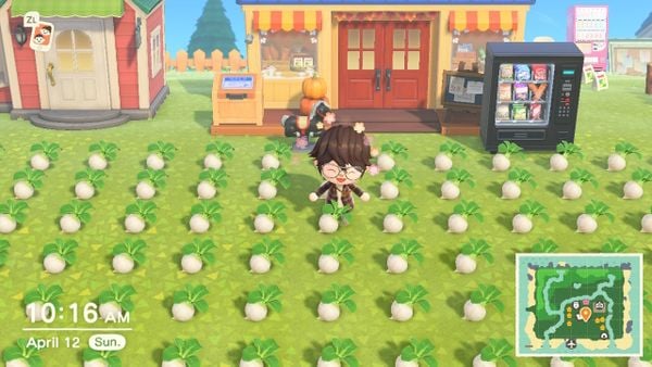 How to buy and sell Turnip in the game Animal Crossing New Horizons Nintendo Switch