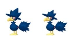 Murkrow