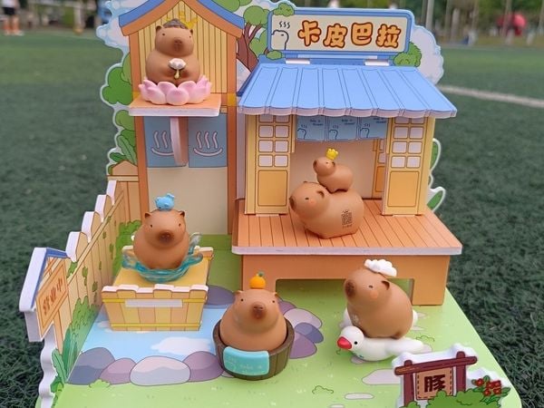 Mô hình Chuột lang nước Capybara Emotional Stability Blind Box hộp mù ngãu nhiên mua làm quà tặng bé nhỏ trẻ em người lớn mua trang tr