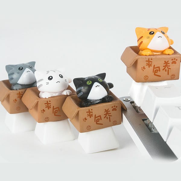 Nút Keycap Mèo trong thùng giấy cho phím cơ đẹp mắt dễ thương đáng yêu ấn tượng