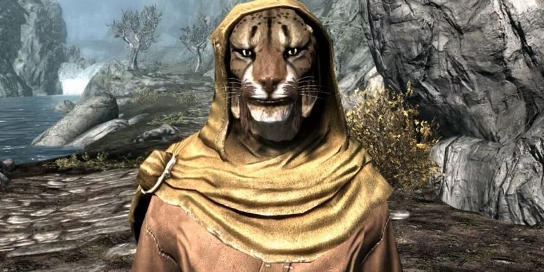 Skyrim, thành công còn tiếp nối sau 13 năm