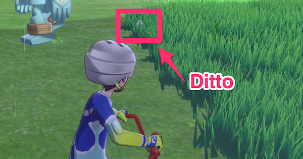 Cách bắt Pokemon Ditto mạnh