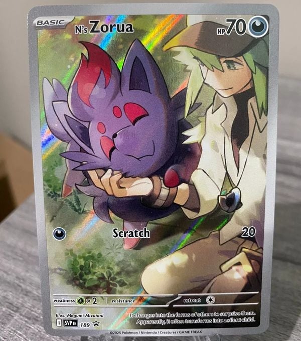 Hộp thẻ bài Pokemon TCG SV09 Journey Together Elite Trainer Box với thẻ bài độc đáo, nâng cao trải nghiệm chơi TCG