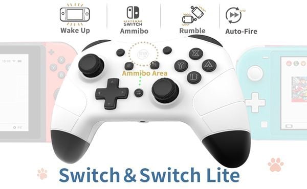 review tay cầm IINE Pro Controller cho Nintendo Switch