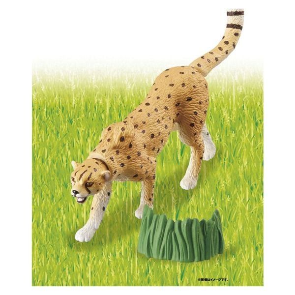 Ania AS-13 Cheetah Running Ver - Mô Hình Tái Hiện Hình Ảnh Báo Săn Chân Thực