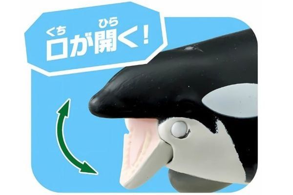 Ania AL-08 Killer Whale Floating Ver - Cá Voi Sát Thủ Bằng Nhựa Cao Cấp
