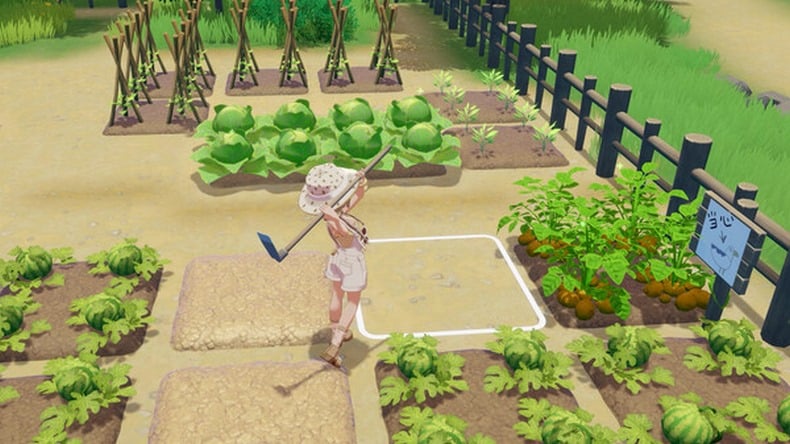 tarsand Island, giám đốc sáng tạo của Seed Lab