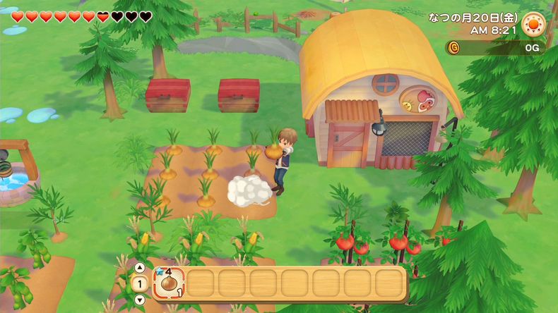 Story of Seasons Pioneers of Olive Town thu hoạch