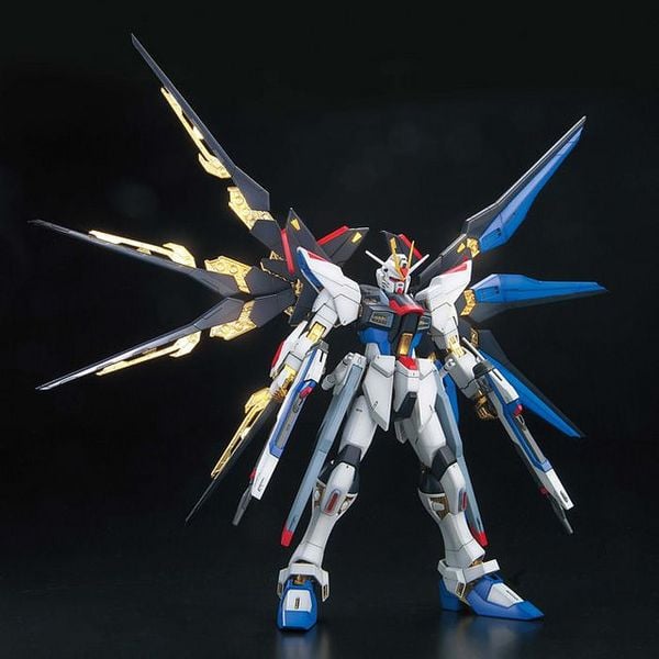 Strike Freedom Gundam Full Burst Mode MG  1100 shop