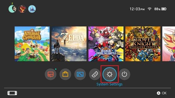 System Settings Instructions to manually install buttons for Nintendo Switch