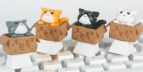 Nút Keycap Mèo trong thùng giấy xin nhận nuôi cho phím cơ siêu dễ thương