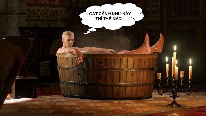 The Witcher 3 cat canh