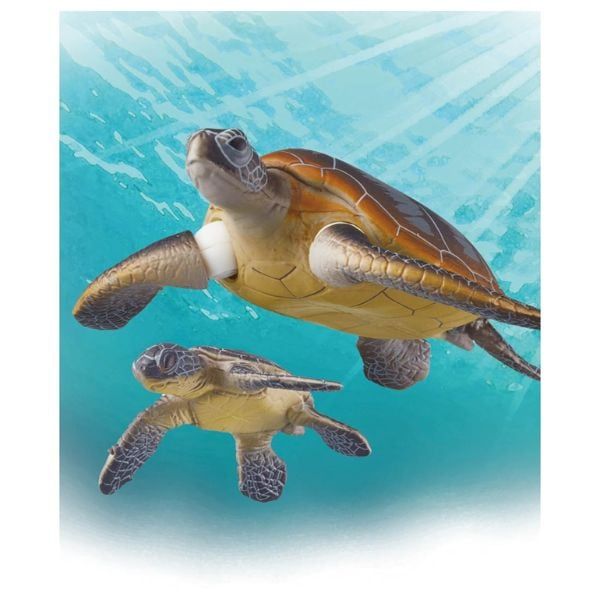 Ania AS-20 Green Sea Turtle Floating Ver - Mô Hình Đồi Mồi Dứa Tái Hiện Chân Thực