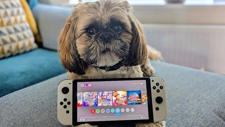 Nintendo Switch là máy chơi game “người lớn” đầu tiên của tôi, lại là quà tặng của mẹ
