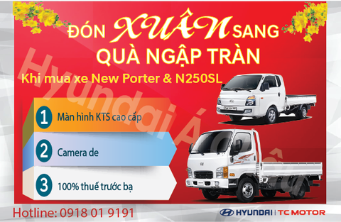 Xe tải Hyundai New Porter & N250SL