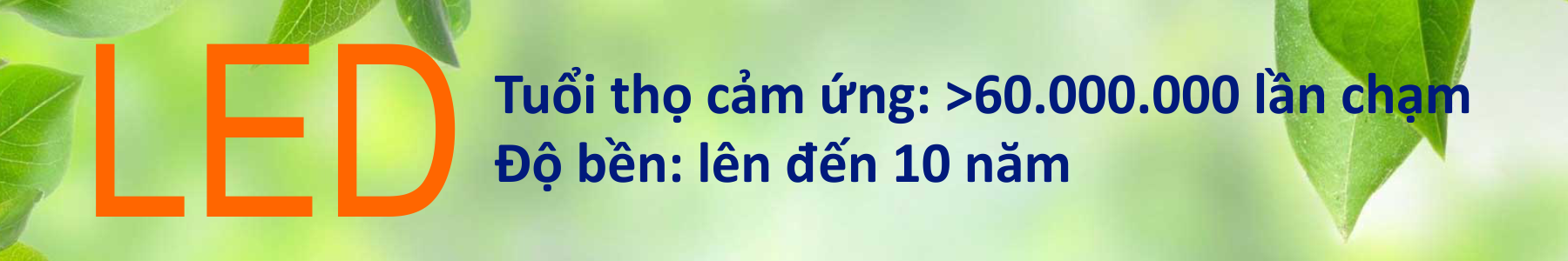 Màn Hình Tương Tác YouMan 75 inh