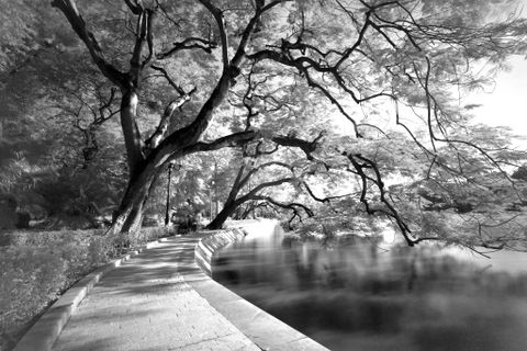 Những tác phẩm tuyệt vời về nhiếp ảnh hồng ngoại cho cảm hứng của bạn IR Filter