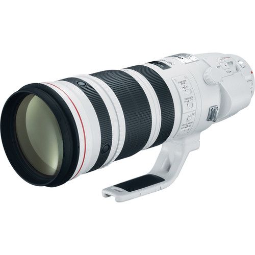 canon 200-400 f4L sông hồng camera