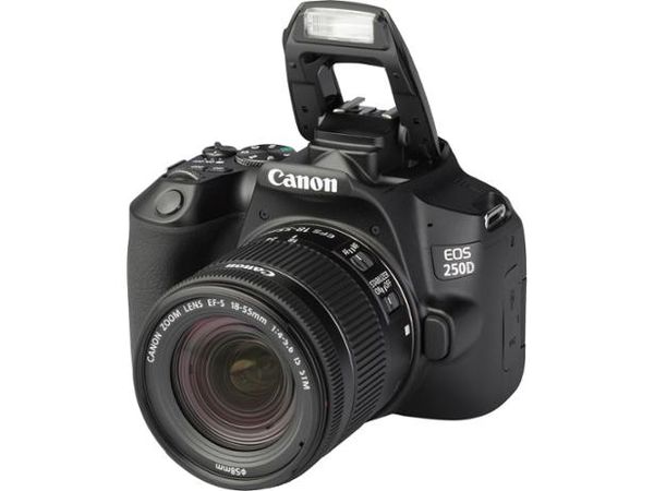 canon 250d kit 18-55 stm songhongcamera.com