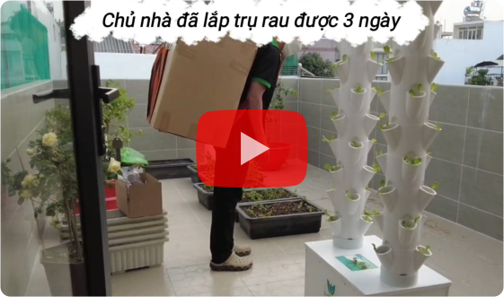 Toàn cảnh quá trình lắp ráp bộ trụ trồng rau thủy canh cao cấp V-Garden tại quận Tân Bình