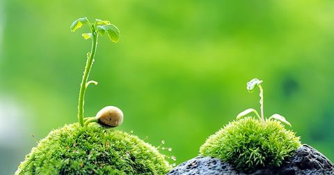 Người không giữ chữ Tín, sao có chỗ đứng ở thế gian?