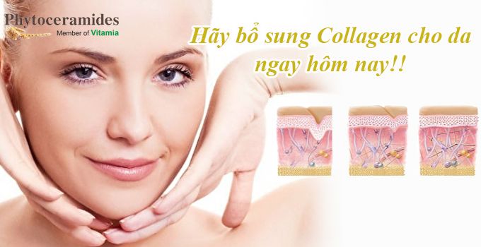 Bổ sung Collagen cho da như thế nào để da mặt được căng mịn hơn?