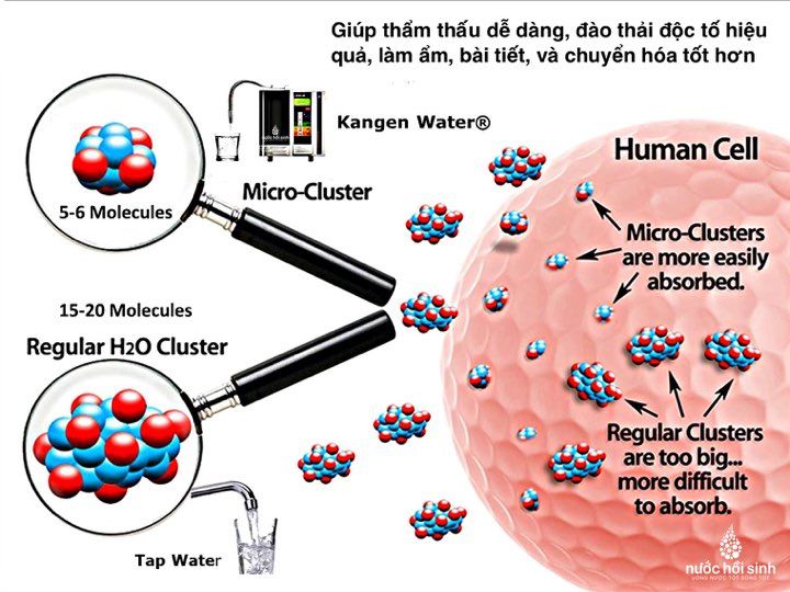 Máy lọc nước Kangen có thể detox cơ thể như lời quảng cáo của nhà sản xuất không?