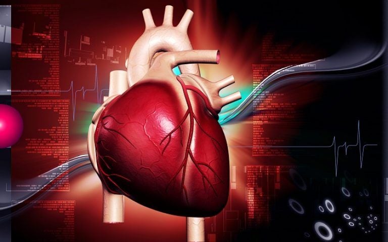 Phòng ngừa và hỗ trợ điều trị suy tim như thế nào?