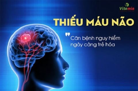 Thiếu máu não uống nước gì tốt, giảm thiểu tình trạng bệnh?