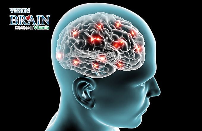 Thuốc tăng trí nhớ – chỉ có Vision Brain là tốt nhất!