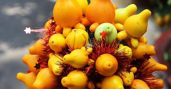 Cây quả dư thừa có ăn được không? Cảnh báo quả độc cẩn thận khi ăn