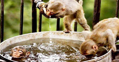 2 câu chuyện giúp bạn rèn luyện được ý chí kiên định