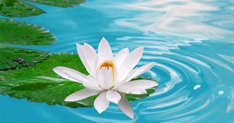 Khi người khuyết đức, bất hạnh là không thể tránh khỏi