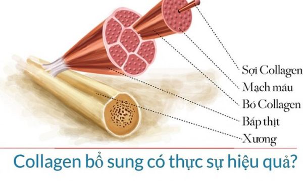 Uống Collagen có tốt không? 6 lý do khiến bạn phải ngưng ngay lập tức!
