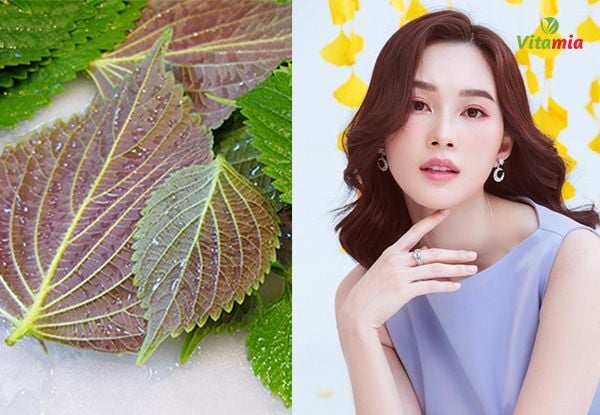 Xông mặt bằng lá tía tô có tác dụng gì?