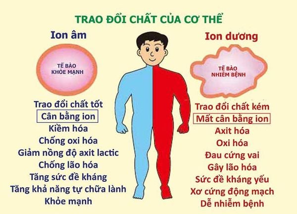 Lợi ích sức khỏe của chế độ anion
