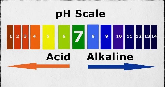 Alkaline là gì?