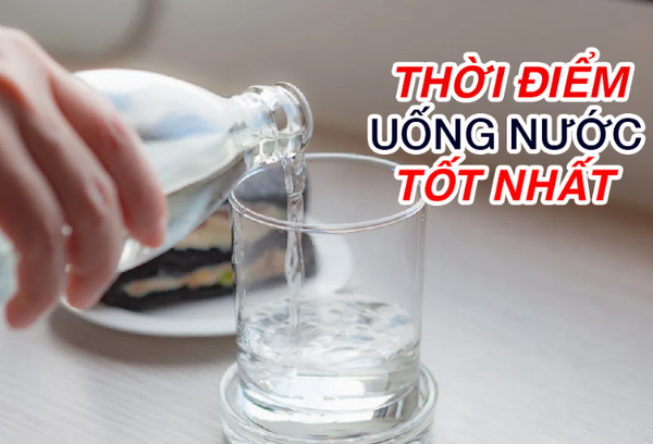 Tại Sao Cần Biết Đúng Thời Điểm Uống Nước?