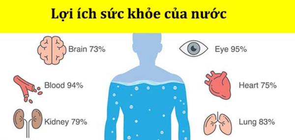 Lợi Ích Sức Khỏe Toàn Diện