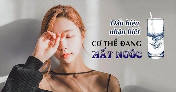 Các dấu hiệu mất nước