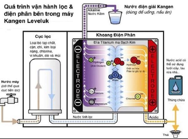 Tóm tắt quá trình điện phân nước với hệ thống vài tấm điện cực trên Kangen Leveluk SD501
