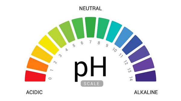 Độ pH an toàn