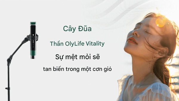 Công dụng nổi bật của OlyLife Vitality Wand: Khai thông kinh lạc theo Đông y