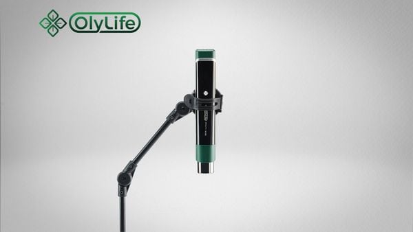 Hướng dẫn sử dụng OlyLife Vitality Wand