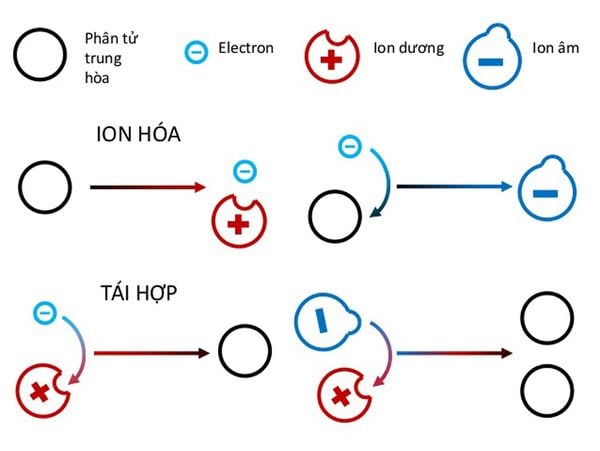 Cơ chế hoạt động của chế độ anion