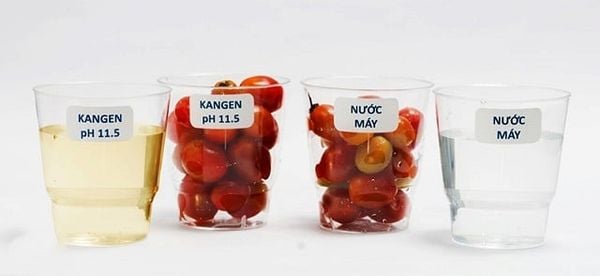 Nước kiềm cao Kangen ph 11.5