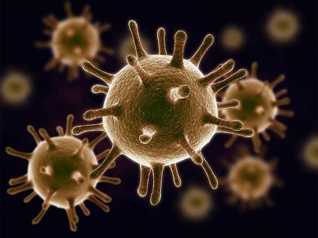Virus là tác nhân phổ biến gây ra bệnh sốt