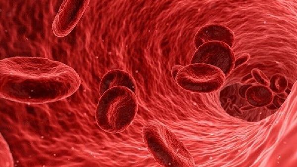 Ý nghĩa của Ion âm đối với hệ thống huyết dịch